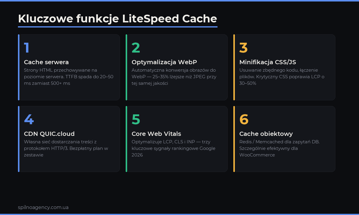 LiteSpeed Cache kluczowe funkcje: cache serwera, WebP, CDN, Core Web Vitals