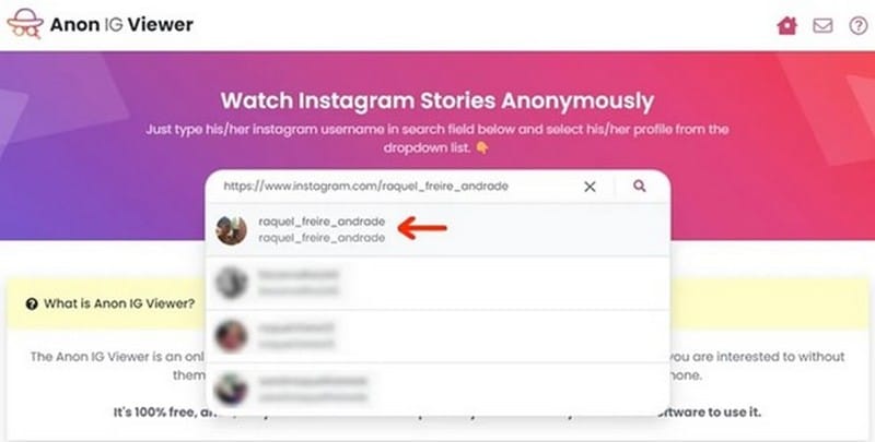 service for anonymous story viewing Anon IG Viewer