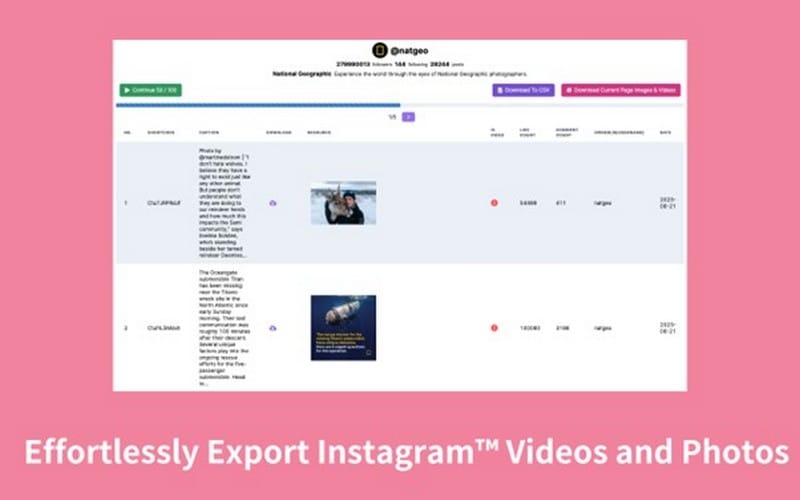 InSaver service for anonymous story viewing