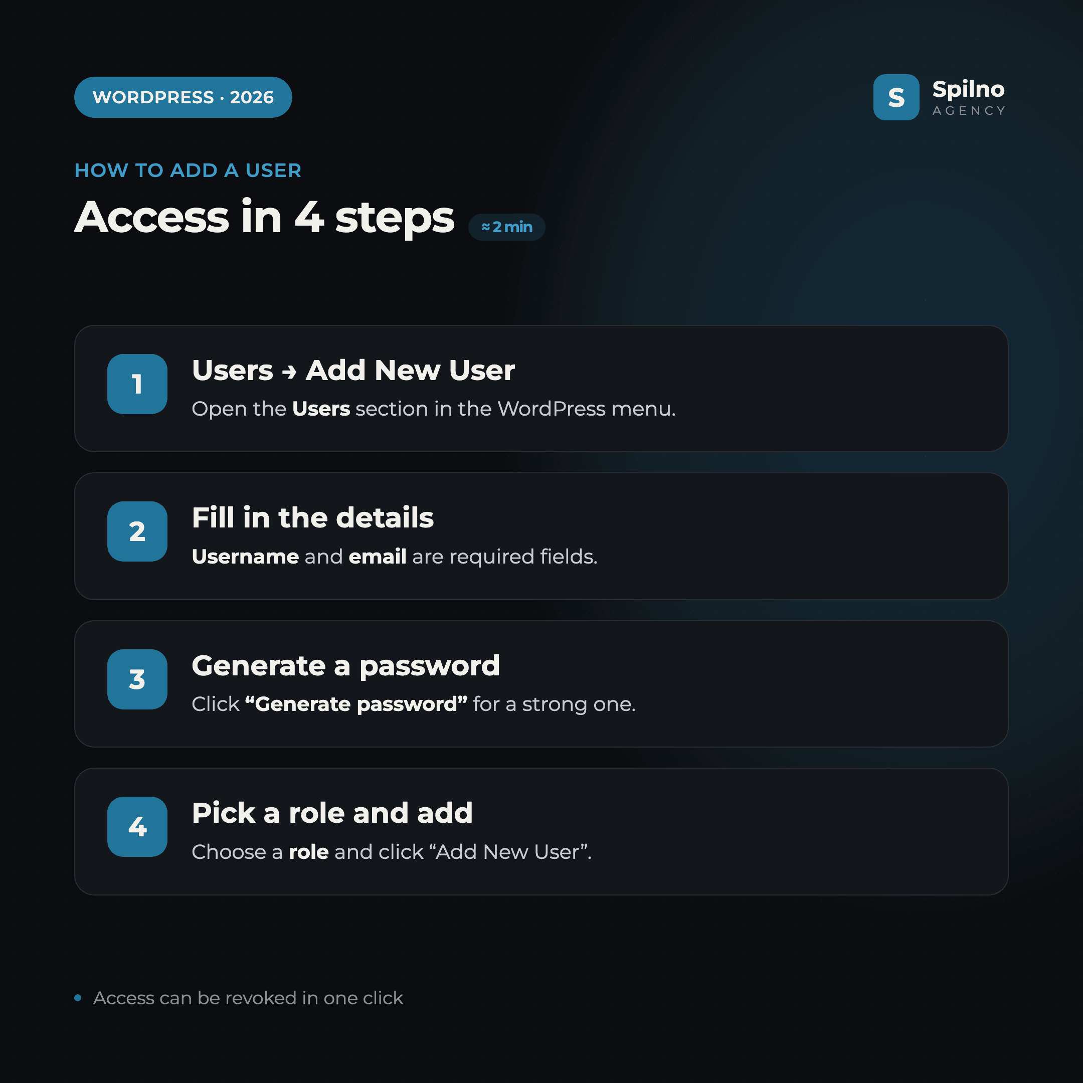 How to grant access to a WordPress site in 4 steps: Users, details, password, role
