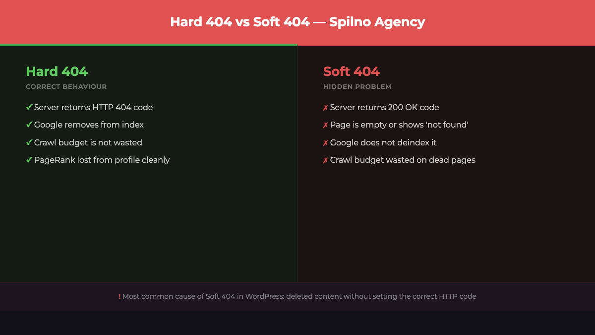 Types of 404 errors: hard 404 vs soft 404 — Spilno Agency infographic
