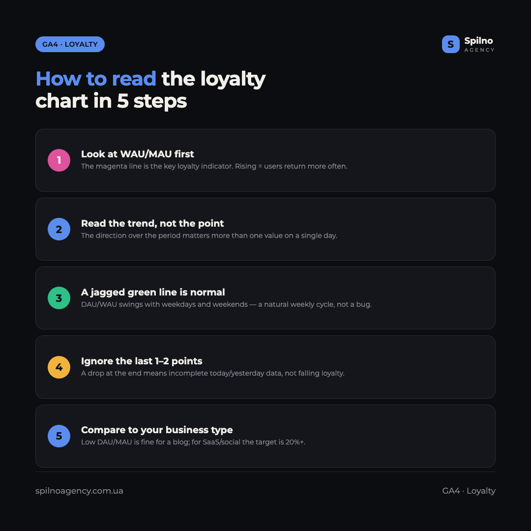 Infographic: how to read the user loyalty chart in GA4 in 5 steps — WAU/MAU, trend, DAU/WAU sawtooth, last points, business type