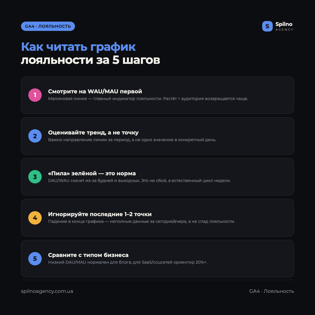 Инфографика: как читать график лояльности пользователей в GA4 за 5 шагов — WAU/MAU, тренд, пила DAU/WAU, последние точки, тип бизнеса