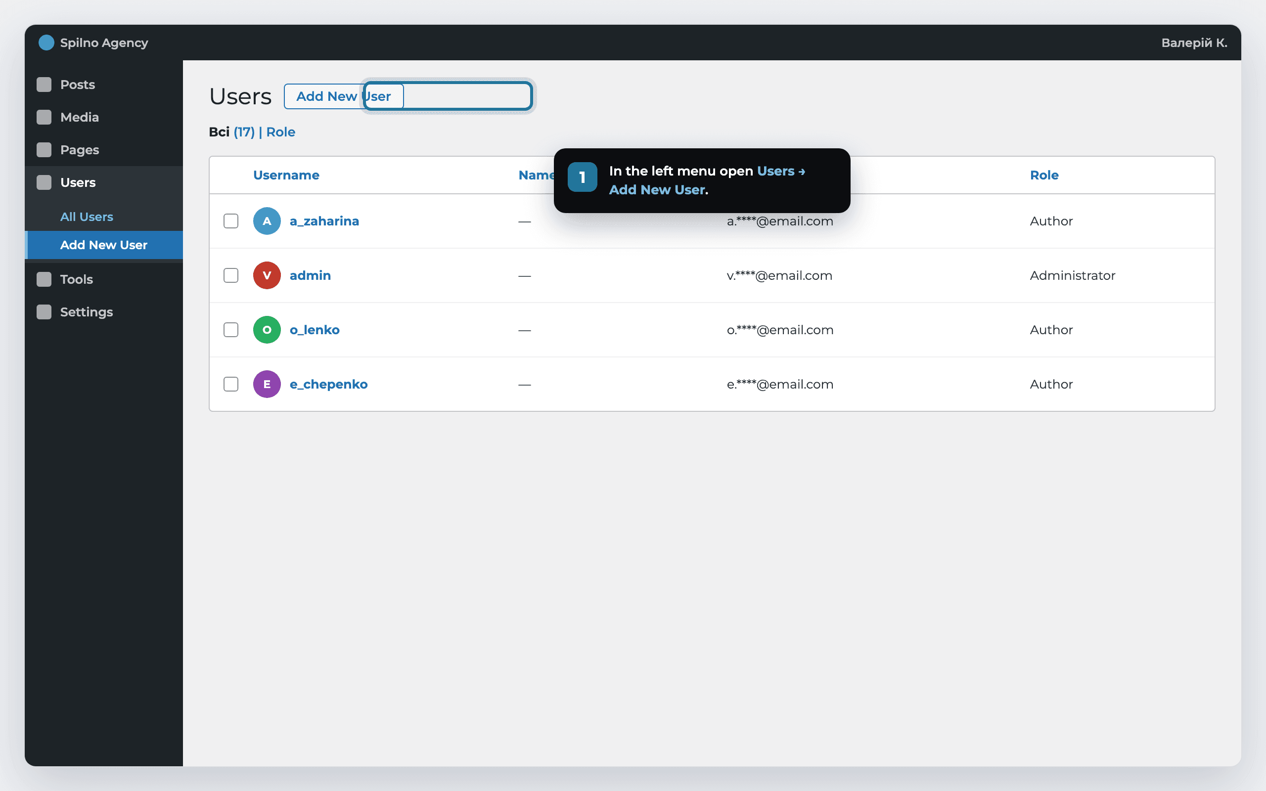Step 1: Users → Add New User section in the WordPress admin panel