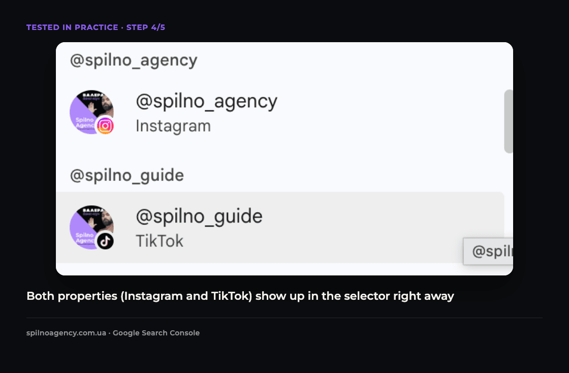 Screenshot: Instagram and TikTok properties both appear immediately in the Search Console resource selector