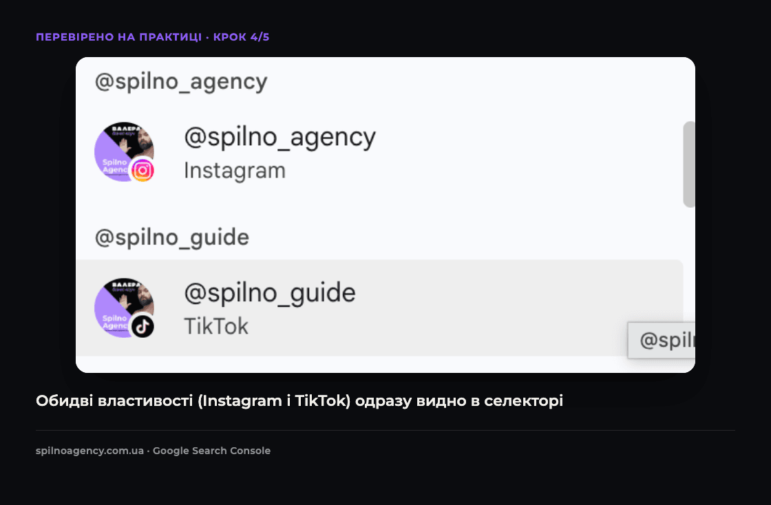 Скріншот: властивості Instagram і TikTok одразу з'являються в селекторі ресурсів Search Console