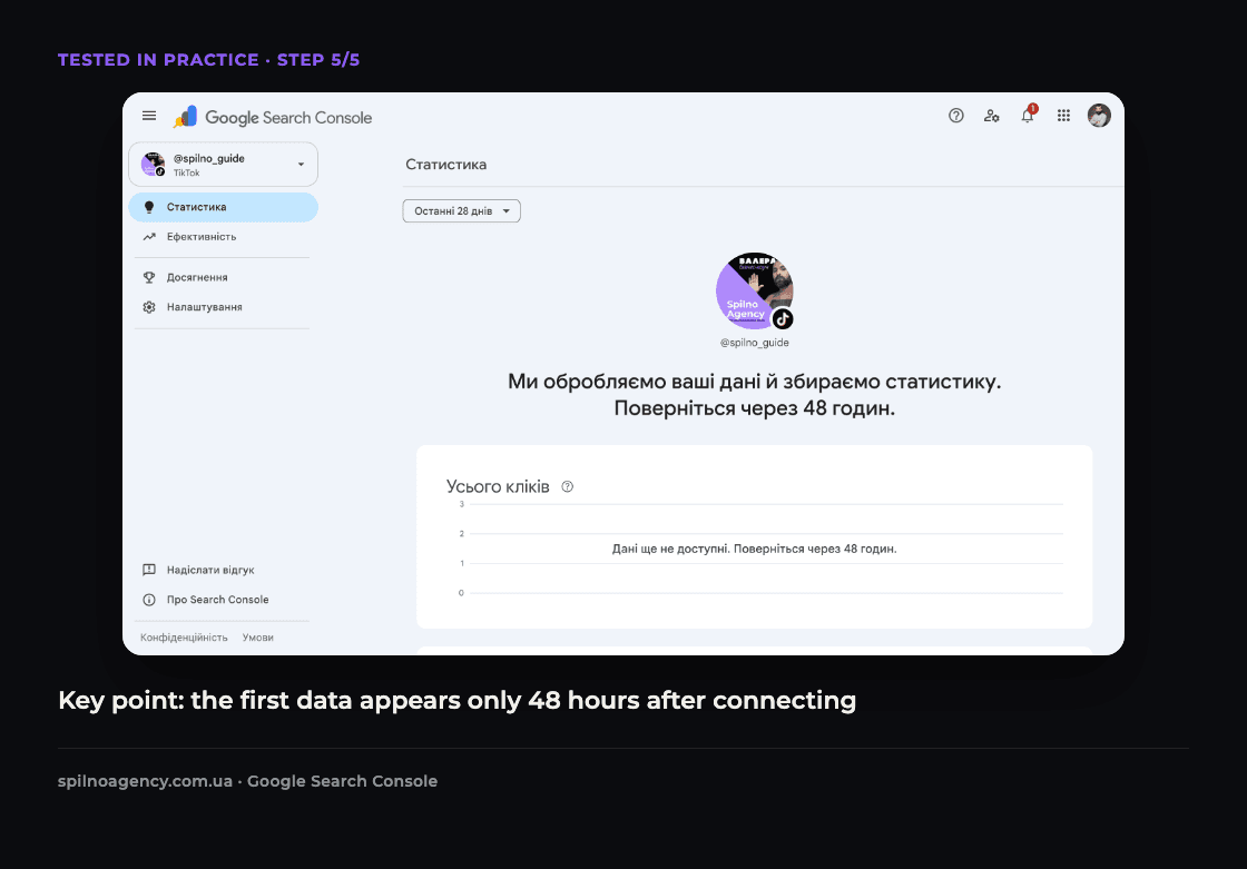 Screenshot: Google Search Console shows that TikTok data will be available in 48 hours