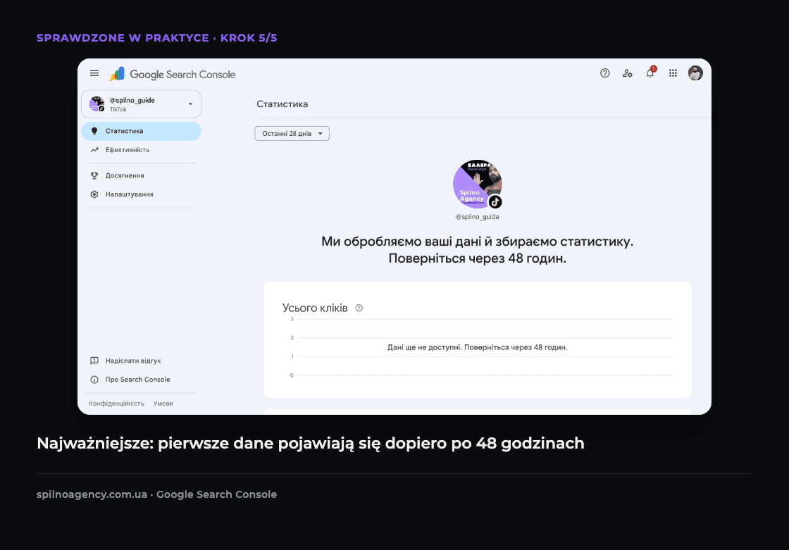 Zrzut ekranu: Google Search Console informuje, że dane TikTok będą dostępne za 48 godzin