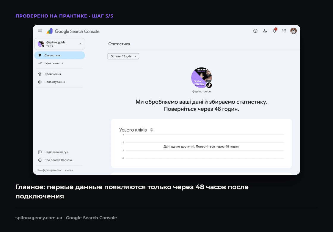 Скриншот: Google Search Console сообщает, что данные TikTok будут доступны через 48 часов