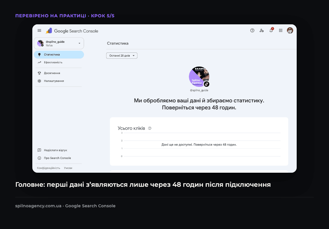 Скріншот: Google Search Console повідомляє, що дані TikTok будуть доступні через 48 годин
